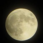 Harold Apple - @appleharold - Instagram