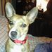 Harold Acheson - Facebook