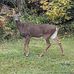 Harold Audet - Facebook