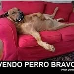 Harold Augusto Vergara - @haroldaugustovergara - Instagram