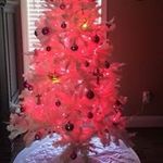 Harold Bachman - @harold.bachman - Instagram