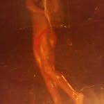 Harold Bacon - @harold.bacon.3 - Instagram