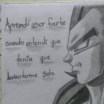 Noah Baez Franco - @haroldbaeznegron - Instagram