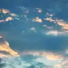 haroldbach - @haroldbach - TikTok