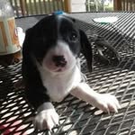Harold Bales - @balesharold - Instagram