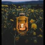 @haroldbarry985 - Instagram