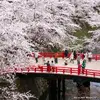 Riko - @harold.barry.vg.2009 - TikTok