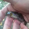 haroldbartell298 - @haroldbartell298 - TikTok