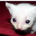 Harold Bartholomew - Facebook