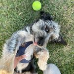 Harold Bartholomew Constantino - @harrybstylish - Instagram
