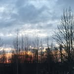 Harold Batt - @harold.batt - Instagram