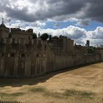 Harold Tsang - @battle_tos_harold_ - Instagram