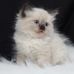 Harold Baughman - Facebook