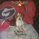 Harold Beckham - @harold.beckham.24 - Instagram