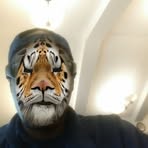 Harold Bee - Facebook