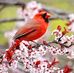 Harold Bim - Facebook