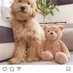 Harold Robertson - @harold.robertson.399 - Instagram
