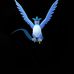 Harold Blum - Facebook