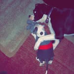 @bobo._.harold - Instagram