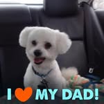 Harold Bo - @harold_bo_bo - Instagram