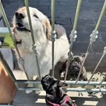 @harold_bobo_heidi - Instagram