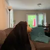 HaroldakaHaribobo - @haroldakaharibobo - TikTok