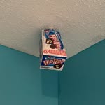 Harold The Hoho Box - @haroldthehohobox - Instagram