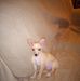 Harold Breeding - Facebook