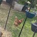 Harold Bromley - Facebook