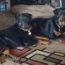 Harold Benson - Facebook