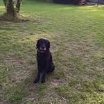 Harold Byrd - @haroldbyrd64 - Instagram