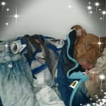 Harold Calvert - @harold.calvert.5 - Instagram