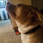 Harold Carpenter - @harold.carpenter.777 - Instagram