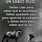 Haroldo Casado - Facebook