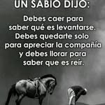 Haroldo Casado - @haroldocasado - Instagram