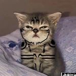Harold Castañeda - @harold.cm17 - Instagram