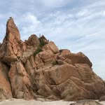 Harold Chan - @harold.chan.7 - Instagram