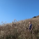 Harold Chan - @haroldchanmc - Instagram