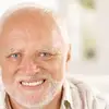 Harold - @harold_chestnut69 - TikTok