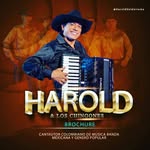 Harold Y Los Chingones - @haroldchingones - Instagram
