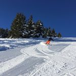 Harold Clément - @haroldclement - Instagram