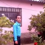 Harold Clemente - @haroldclemente - Instagram