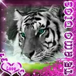 Harold Clemente - @harold.clemente.90 - Instagram