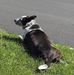 Harold Cline - Facebook