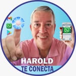 Harold te Conecta - @haroldteconecta - Instagram