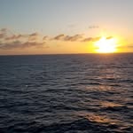 Harold Cottrell - @hcottrell16 - Instagram