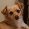Harold Custer - @harold.custer - TikTok