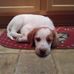 Harold Daly - Facebook