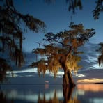 Harold Darden - Facebook