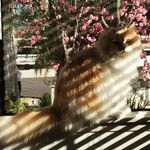 Harold Darling - @theonewithharold - Instagram